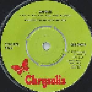 Steeleye Span: Gaudete - Cover