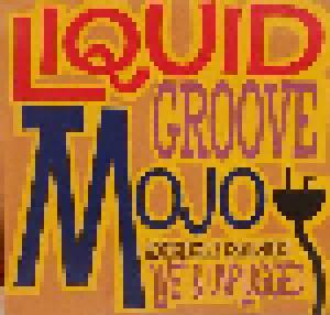 Liquid Groove Mojo: Acoustically Challenged "Live" & Unplugged - Cover