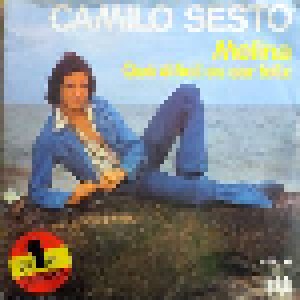 Cover - Camilo Sesto: Melina