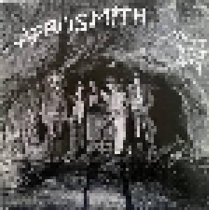 Aerosmith: Night In The Ruts - Cover