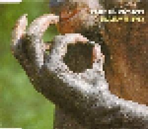 Babybird: The F-Word (Single-CD) - Bild 1