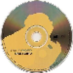 Babybird: The F-Word (Single-CD) - Bild 4
