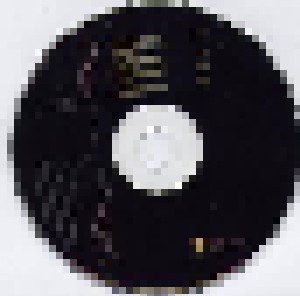Tori Amos: Professional Widow (Single-CD) - Bild 3