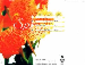 RMB: Spring (Single-CD) - Bild 3