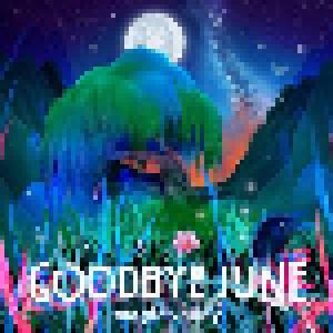 Goodbye June: Magic Valley - Cover