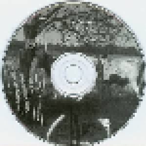 Tori Amos: Caught A Lite Sneeze (Single-CD) - Bild 3