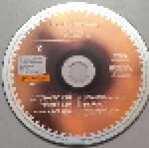 Panjabi MC: The Album (CD) - Bild 3