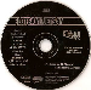 Flotsam And Jetsam: High (Promo-CD) - Bild 3