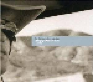 The Brian Jonestown Massacre: (Bringing It All Back Home - Again) - Cover
