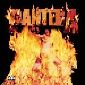 Pantera: Reinventing The Steel (LP) - Bild 1