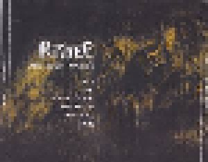 Furnaze: Laim Brain Society (Mini-CD-R / EP) - Bild 3