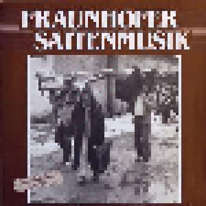 Fraunhofer Saitenmusik: Gegen Den Rhythmus Der Zeit - Cover