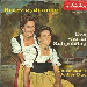 Das Chiemgauer Jodler-Duo: Bergvagabunden - Cover