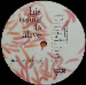 His Name Is Alive: Home Is In Your Head (LP) - Bild 3