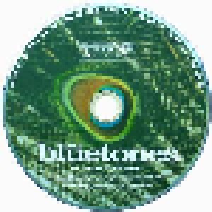The Bluetones: Expecting To Fly (CD) - Bild 3
