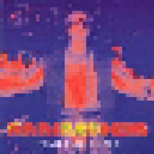 Rammstein: Verbrannte Erde - Cover
