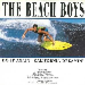 The Beach Boys: Do It Again - Cover