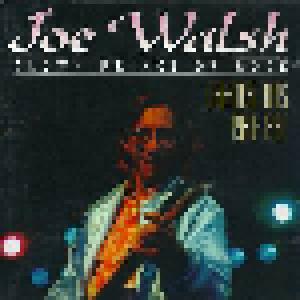 Joe Walsh: Clown Prince Of Rock - Greatest Hits 1981 - 1991 - Cover