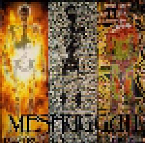 Cover - Meshuggah: Destroy Erase Improve