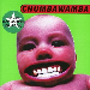 Cover - Chumbawamba: Tubthumper