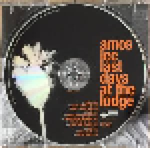 Amos Lee: Last Days At The Lodge (CD) - Bild 3