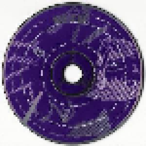Mother Love Bone: Mother Love Bone (2-CD) - Bild 5