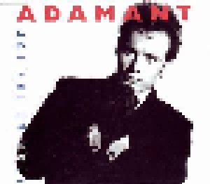 Cover - Adam Ant: Room At The Top