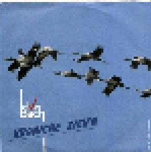 Elve Bach: Kraniche Zieh'n - Cover