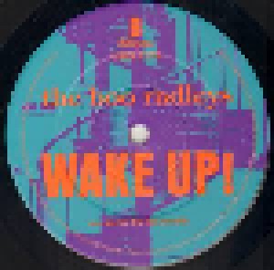The Boo Radleys: Wake Up! (LP) - Bild 5