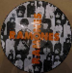 Ramones: Surfin' Birds - Cover