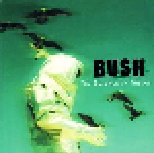 Bush: Science Of Things, The - Cover