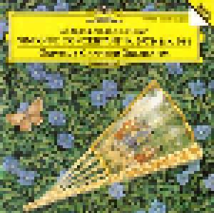 Wolfgang Amadeus Mozart: Sinfonie Concertanti K.297 b & K.364 - Cover