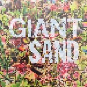 Giant Sand: Returns To The Valley Of Rain - Cover