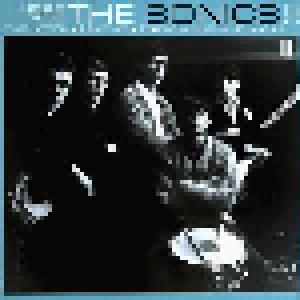 The Sonics: Here Are The Sonics!!! - Cover