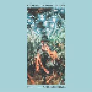 Tides From Nebula: Dopamine / Paratyphoid Fever - Cover