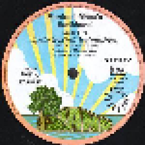 Manfred Mann's Earth Band: Solar Fire (LP) - Bild 3