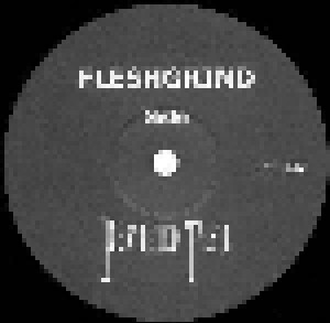 Resurrected + Fleshgrind: Fleshgrind / Resurrected (Split-LP) - Bild 3