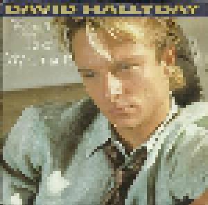 David Hallyday: Wanna Take My Time - Cover