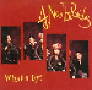 Cover - 4 Non Blondes: What's Up?