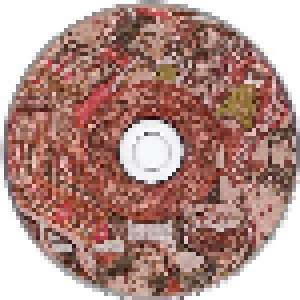 Conor Oberst: Conor Oberst (CD) - Bild 3
