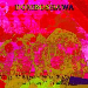 Domboshawa: Beyond Vibrations - Cover