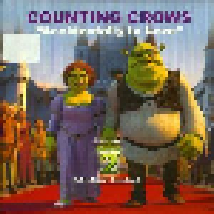 Counting Crows: Accidentally In Love (Promo-Single-CD) - Bild 1
