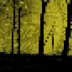 Porcupine Tree: Wolverhampton 2007 - Cover