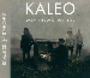 Kaleo: Way Down We Go - Cover