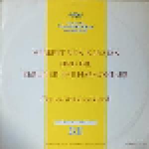 Johannes Brahms, Antonín Dvořák: Herbert Von Karajan Und Die Berliner Philharmoniker - Cover