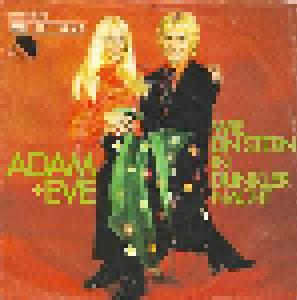 Adam & Eve: Wie Ein Stern In Dunkler Nacht - Cover