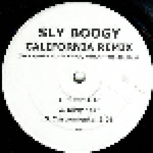 Sly Boogy: Ridiculous / California - Cover