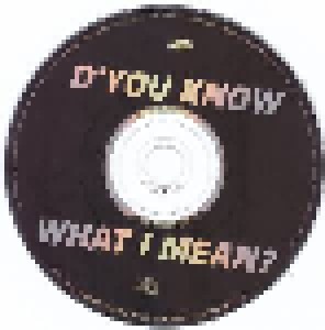 Oasis: D'you Know What I Mean? (Promo-Single-CD) - Bild 4