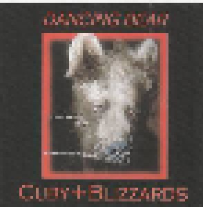 Cover - Cuby + Blizzards: Dancing Bear