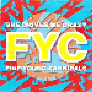 Fine Young Cannibals: She Drives Me Crazy - Cover